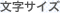 文字サイズ